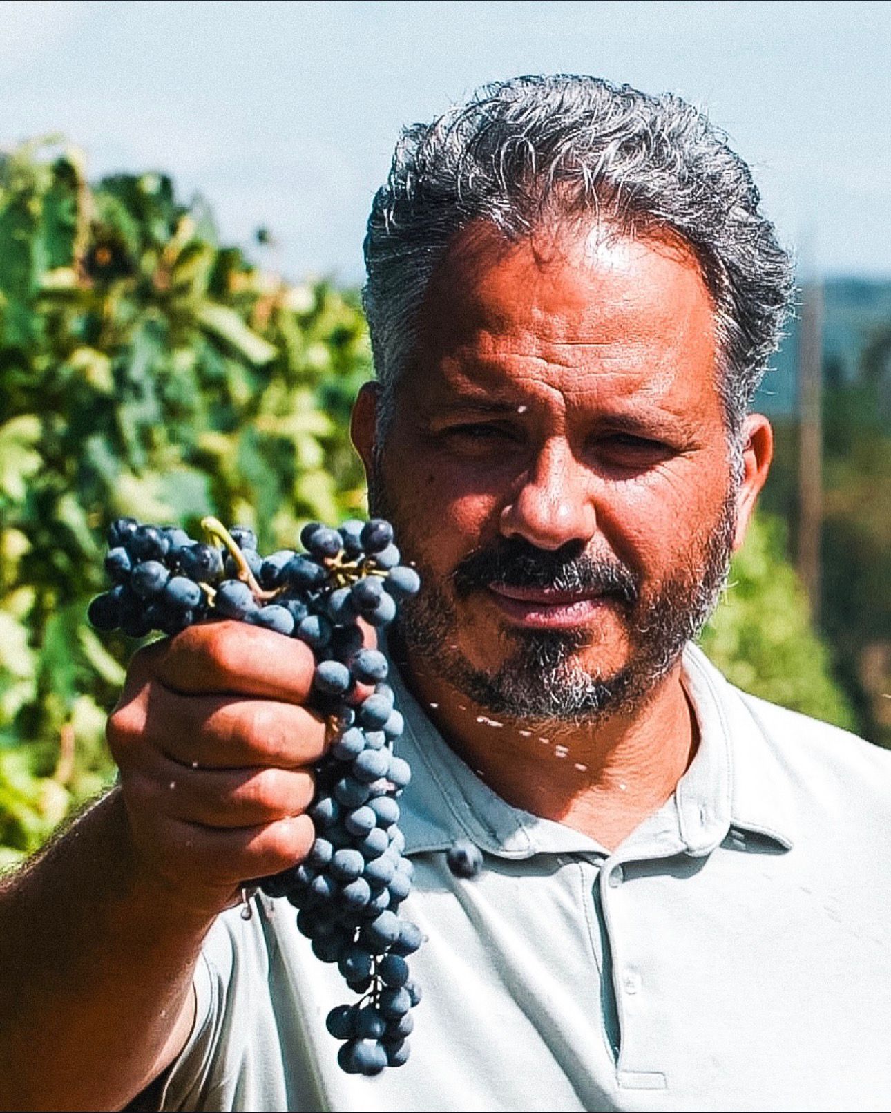 Andrea Luteraia
